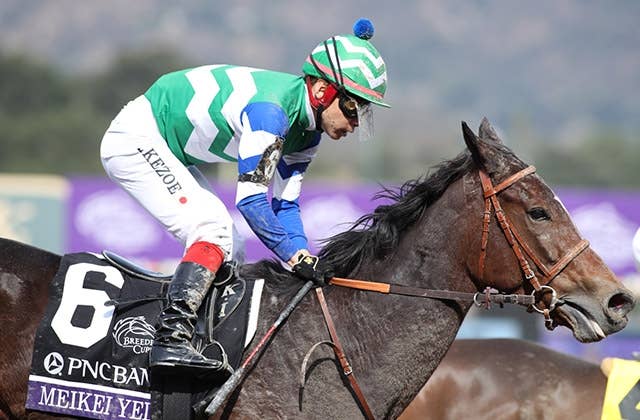 メイケイエール（Meikei Yell） | 競馬データベース | JRA-VAN World