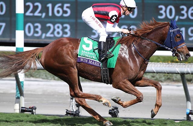 ウインマリリン（Win Marilyn） | 競馬データベース | JRA-VAN World