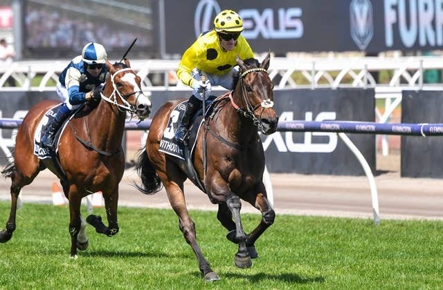 競馬ファンの方、海外レース、優勝馬 ウィズアウトアファイトがメルボルンCも快勝、史上12頭目の“カップス