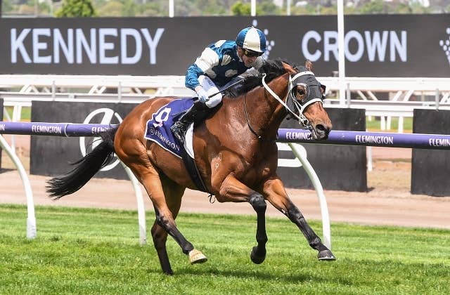 ディープインパクト産駒ムラマサが豪重賞2連勝、G3クイーンエリザベスS