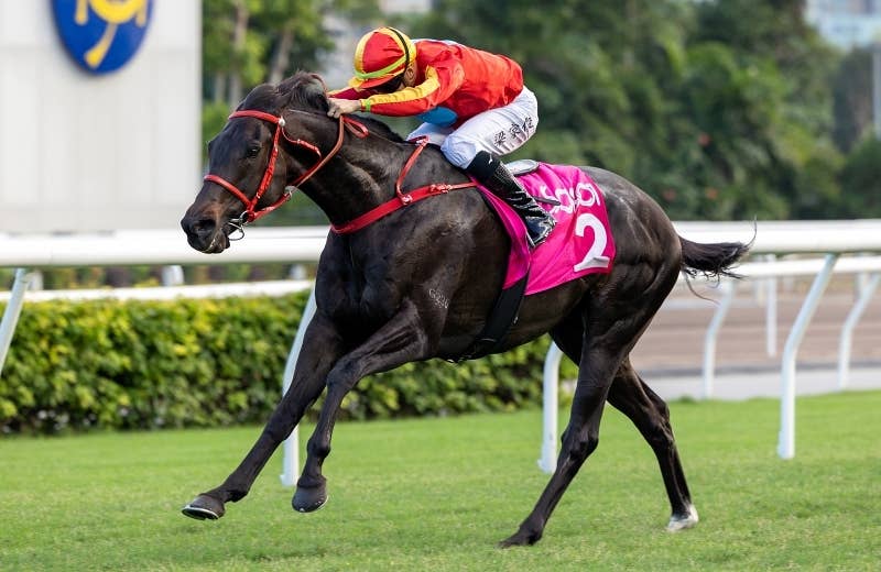 【新品、未使用】JRA　モーリス　香港馬名　香港カップ　エコバッグ リスグラシュー〈完成品〉馬ぬいぐるみエコバッグ® | 馬