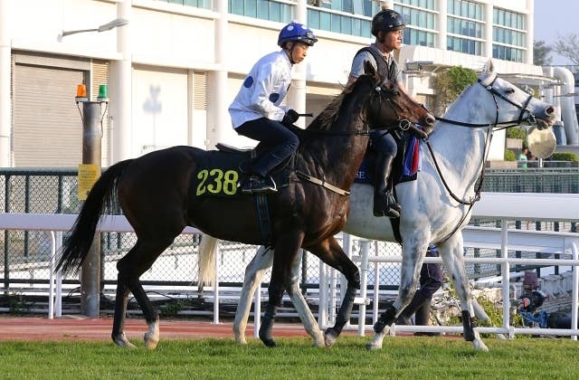 ゴールデンシックスティ、香港マイルを勝てばレース史に新たな記録