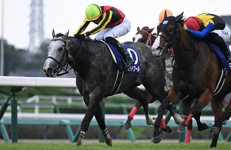 JRAポスター マッドクール マッドクール（Mad Cool） | 競馬データベース | JRA-VAN World