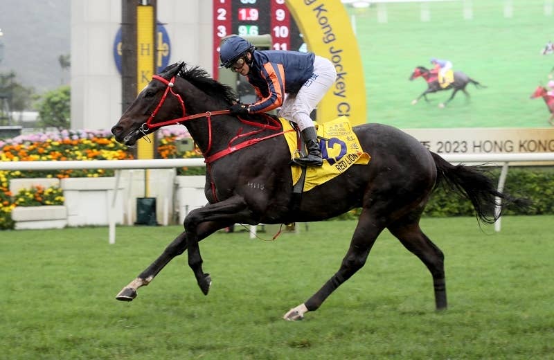 レッドライオン（Red Lion） | 競馬データベース | JRA-VAN