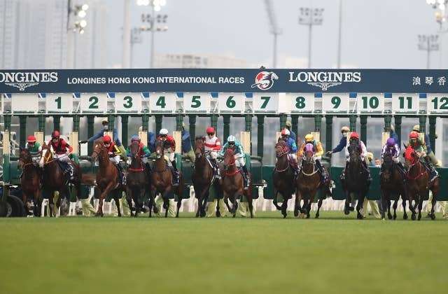 香港国際競走】予想大会を開催！ | JRA-VAN World - 海外競馬情報サイト