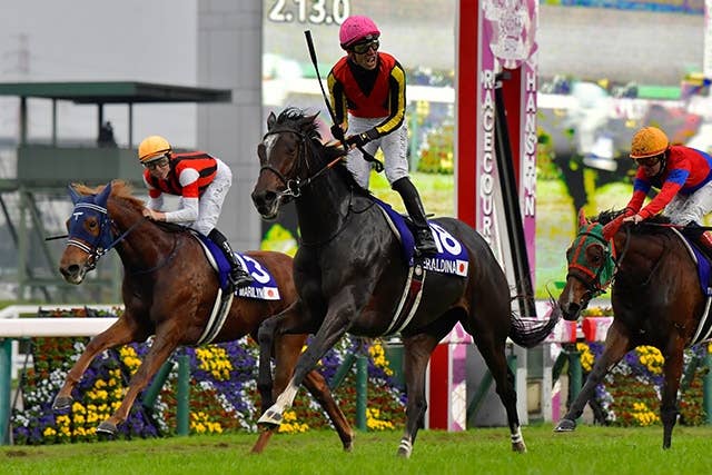 2023香港カップ | JRA-VAN World - 海外競馬情報サイト