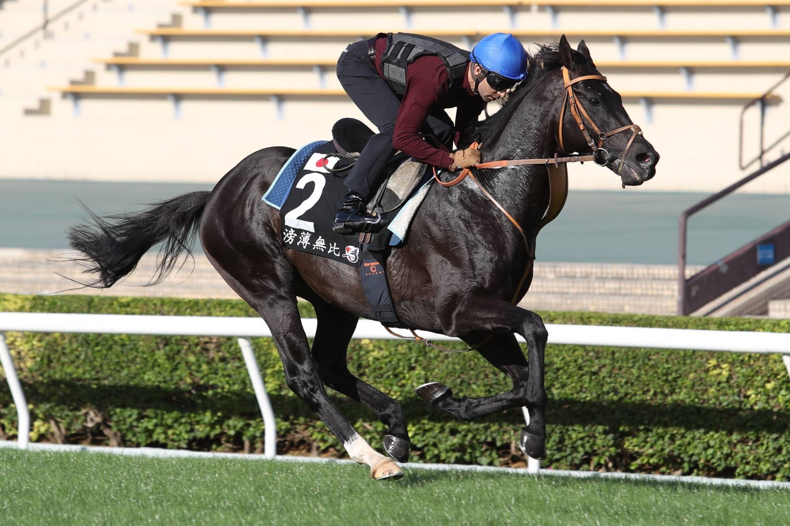 香港カップ（G1） 2023/12/10(日) | 日程・結果 | JRA-VAN World