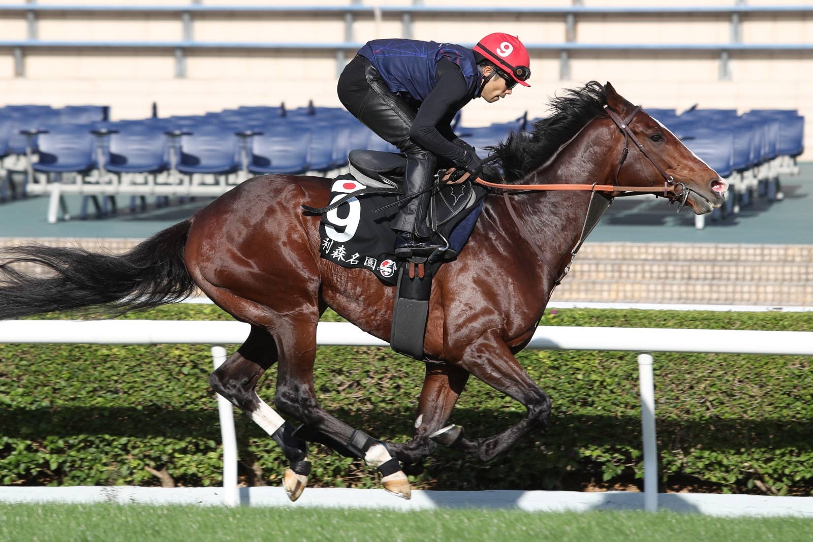 【新品、未使用】JRA　モーリス　香港馬名　香港カップ　エコバッグ 愛馬〉オーダーメイド 馬ぬいぐるみエコバッグ® | 馬ぬいぐるみ
