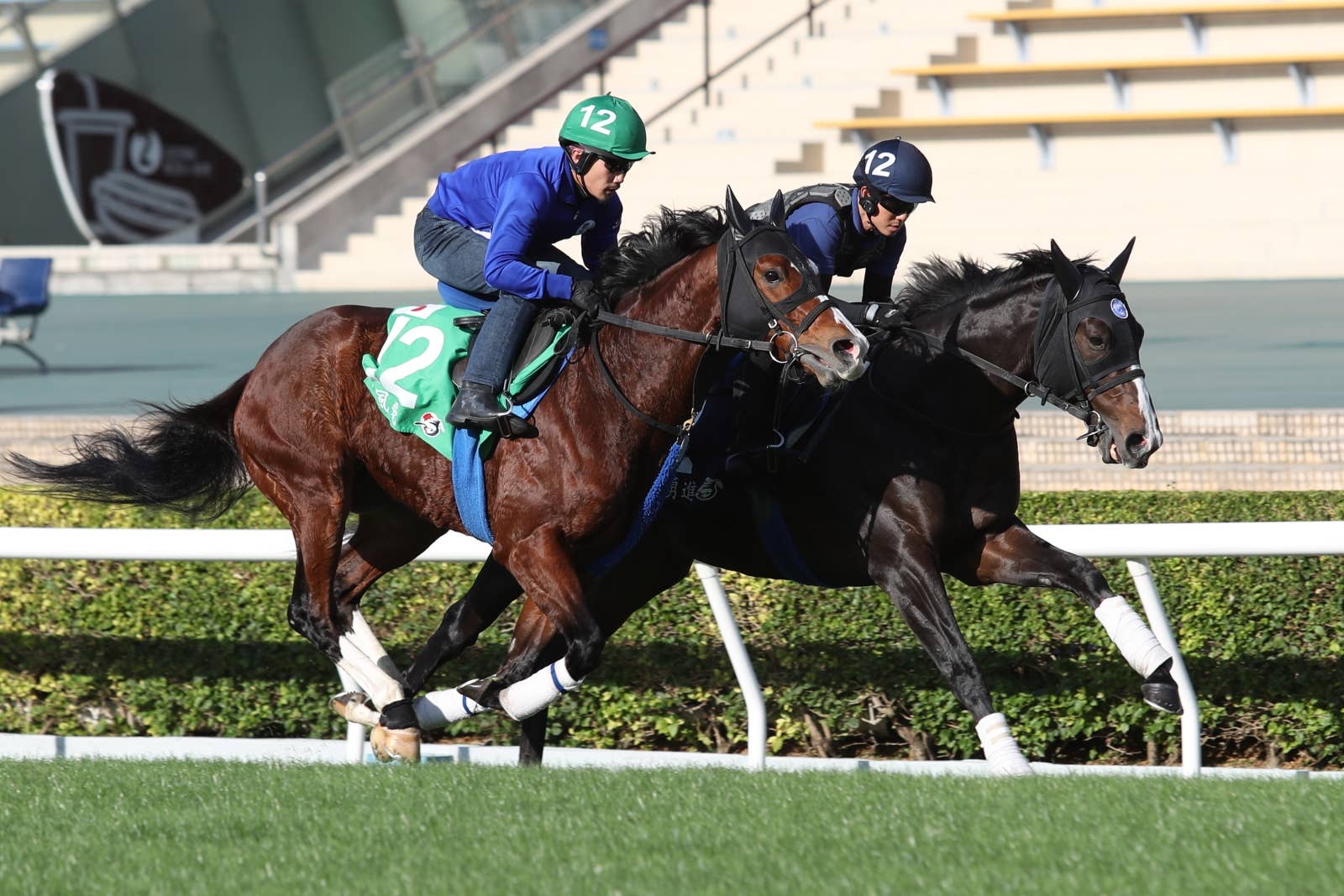 池江厩舎2頭が最終追い、ゼッフィーロとソウルラッシュが併せ馬 | JRA