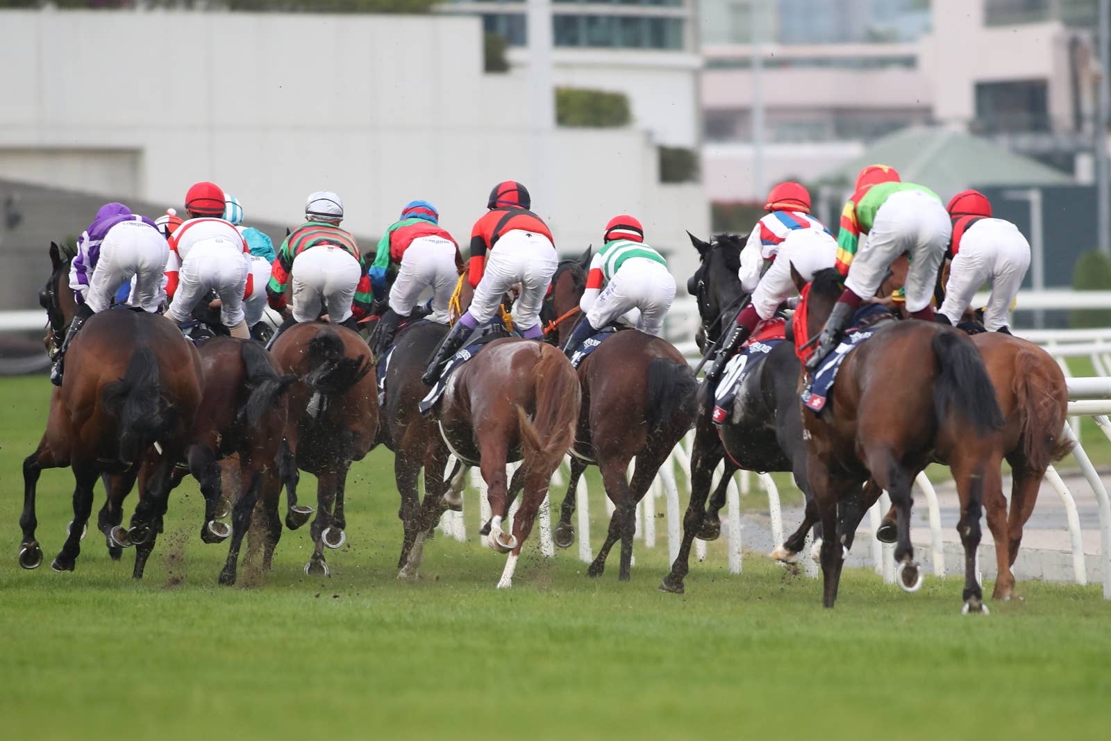 2023香港国際競走 | JRA-VAN World - 海外競馬情報サイト