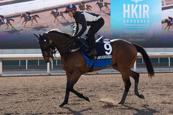 現地購入的中単勝馬券【2006 年シンガポール航空国際カップ】コスモバルク 現地購入的中単勝馬券【2006年シンガポール国際航空カップ