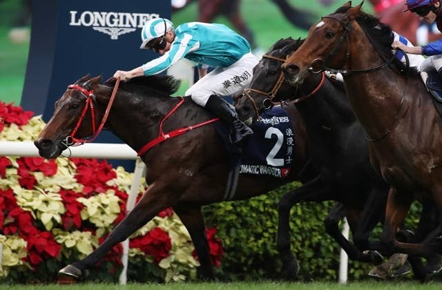 【新品、未使用】JRA　モーリス　香港馬名　香港カップ　エコバッグ 愛馬〉オーダーメイド 馬ぬいぐるみエコバッグ® | 馬ぬいぐるみ