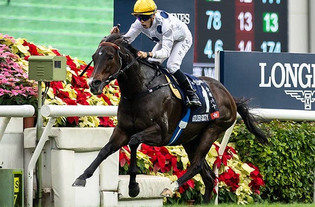 香港マイル・各騎手談話】ゴールデンシックスティをホー絶賛「彼は8歳馬ではなく4歳馬」 | JRA-VAN World - 海外競馬情報サイト