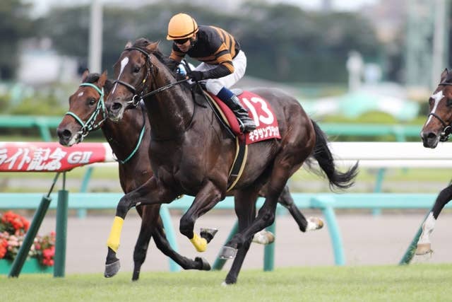 オーストラリア初にして唯一のキタサンブラック産駒が誕生 | JRA-VAN