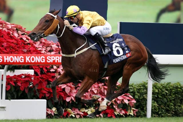 種牡馬ダンディマンが死亡、ペニアフォビアらG1馬を輩出 JRAVAN World 海外競馬情報サイト