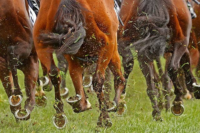 JRA G2 ゼッケン サープラスシンガー　重賞 JRA G2 ゼッケン サープラスシンガー 重賞 $_57.PNG?set_id