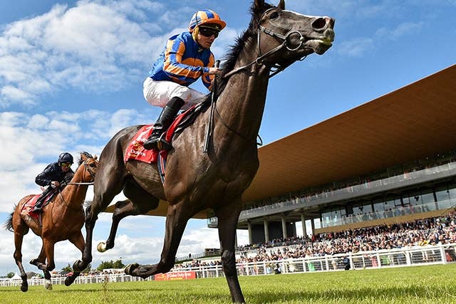 オーギュストロダン、競馬メディア選出の年度代表馬に JRAVAN World 海外競馬情報サイト