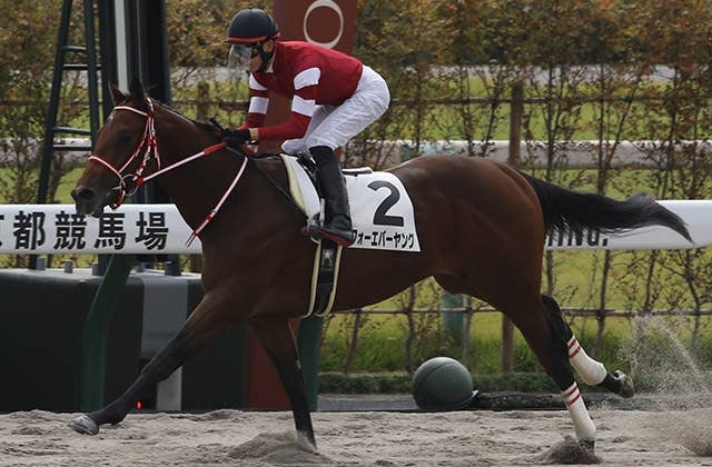 藤田晋社長所有のJpn1馬フォーエバーヤング、2・24サウジダービーの