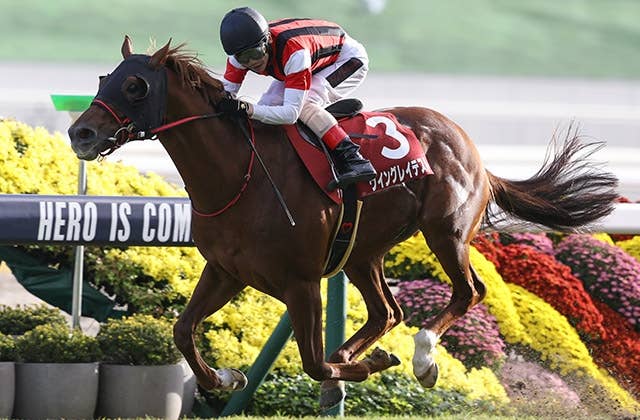 ソングライン　1531ターフスプリント優勝記念ジャージ　競馬　JRA ソングライン 1531ターフスプリント優勝記念ジャージ 競馬 JRA 1351