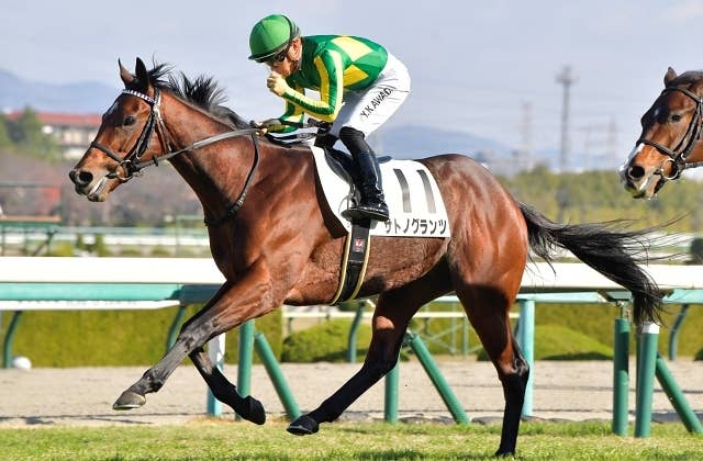 今週末のカタールで日本馬2頭が出走 サトノグランツは2年連続の遠征