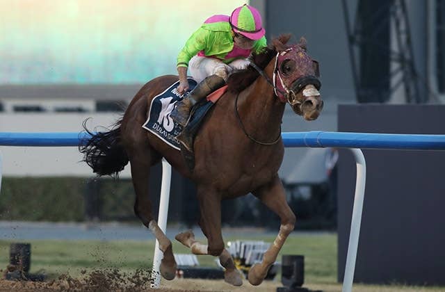 2023ドバイゴールデンシャヒーン | JRA-VAN World - 海外競馬情報サイト
