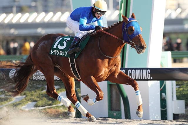 サウジC】レモンポップの田中博師「今が充実期。過程が昨年のドバイと