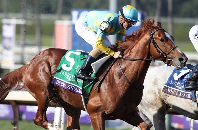 サウジカップ】日本馬5頭が世界最高賞金レース勝利を再び狙う