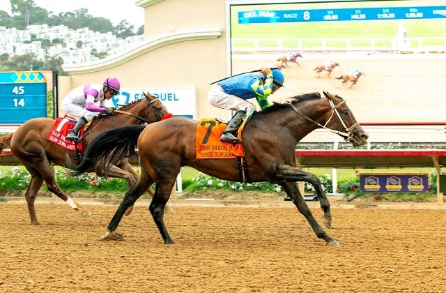 サウジカップに出走予定の外国の注目馬 | JRA-VAN World - 海外競馬