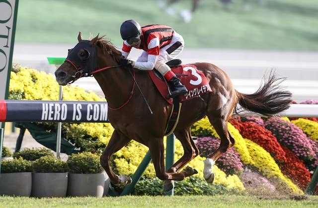 65d628d3-1f80-4c88-a19e-