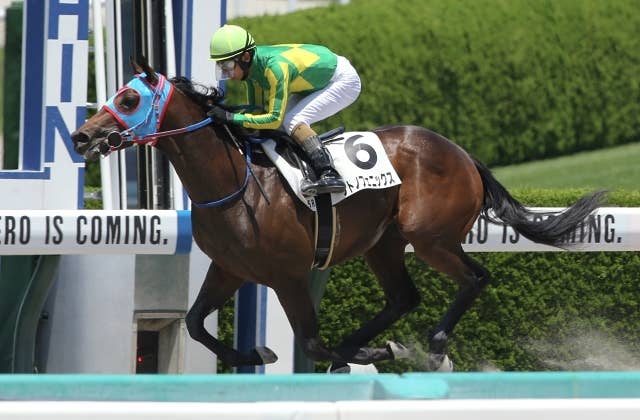 サウジ現地発】サトノフェニックス「いい動き。ここでいい競馬を」と