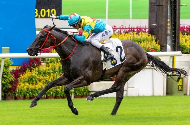 魅了 現地 ロイヤルタッチ 3歳新馬 1995年 阪神競馬場購入 デビュー戦