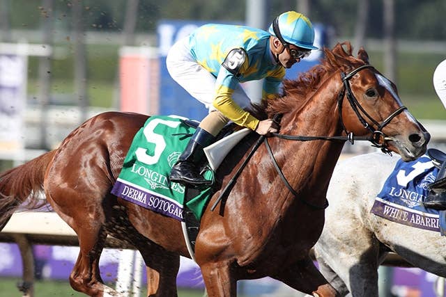 サウジC】一昨年に重賞4勝のルメール三度目の正直へ「デルマソトガケは