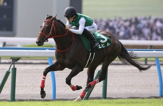 【サウジ現地発】2年連続参戦エヒトの日高助手「今年はリラックス」／レッドシーターフh Jra Van World 海外競馬情報サイト