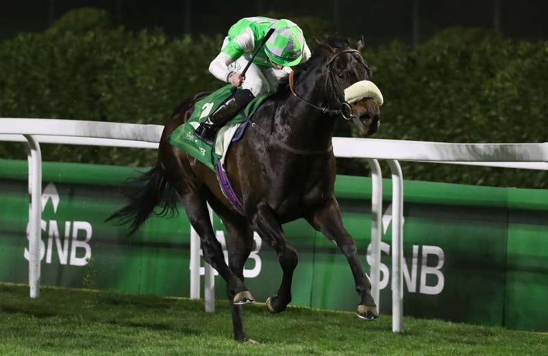 アナフ（Annaf） | 競馬データベース | JRA-VAN World - 海外