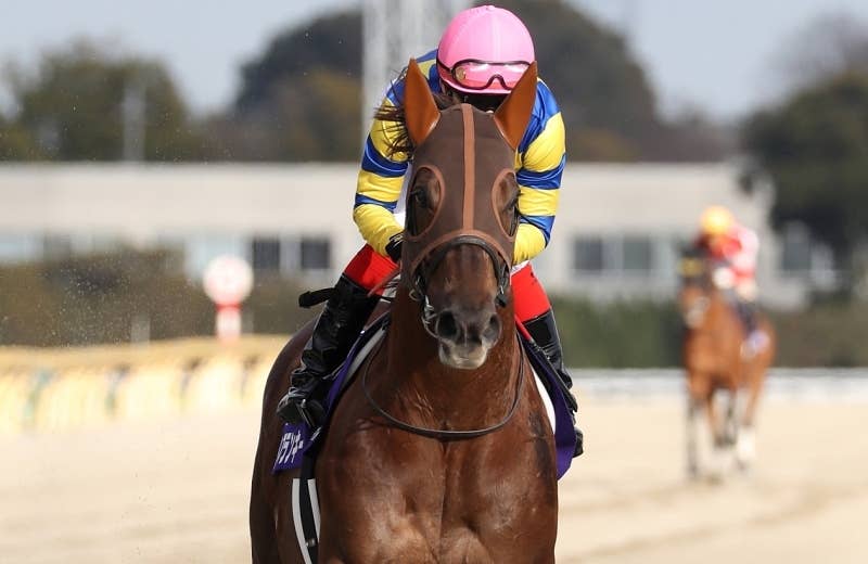 2024ブリーダーズカップ | JRA-VAN World - 海外競馬情報サイト