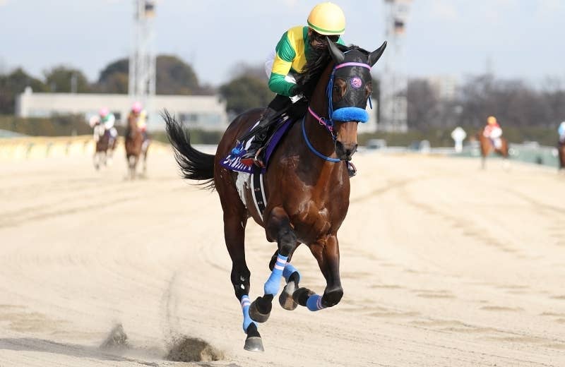 2024ドバイワールドカップデー | JRA-VAN World - 海外競馬情報 2024ドバイワールドカップデー | JRA-VAN World - 海外競馬情報
