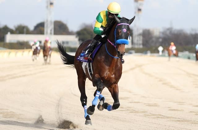 結果 | 2024ドバイワールドカップ | JRA-VAN World - 海外競馬