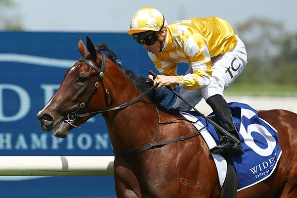 2歳戦で世界最高賞金の豪G1ゴールデンスリッパーS、牝馬のレディ
