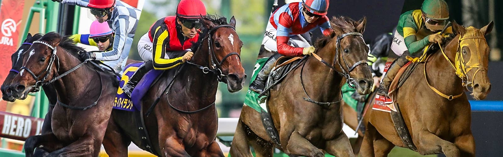 JRA-VAN World - 海外競馬情報サイト