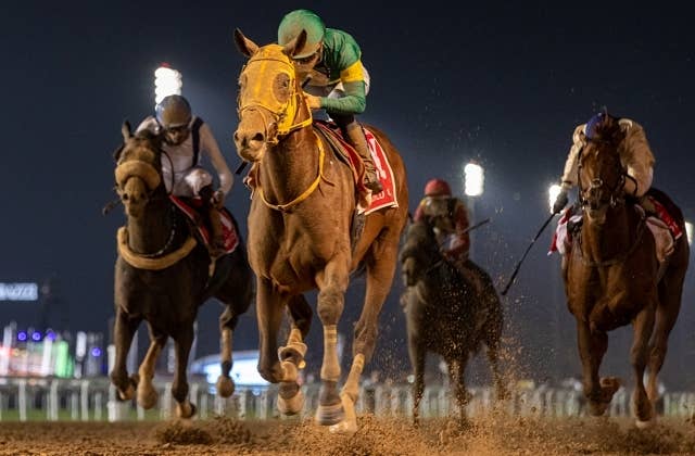 ドバイワールドC】連覇へウシュバテソーロ追い切り ダート5Fから軽快