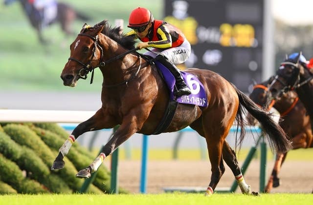 ジャスティンパレス 大阪杯】ジャスティンパレス95点 距離短縮にも対応可能 筋肉で張りに