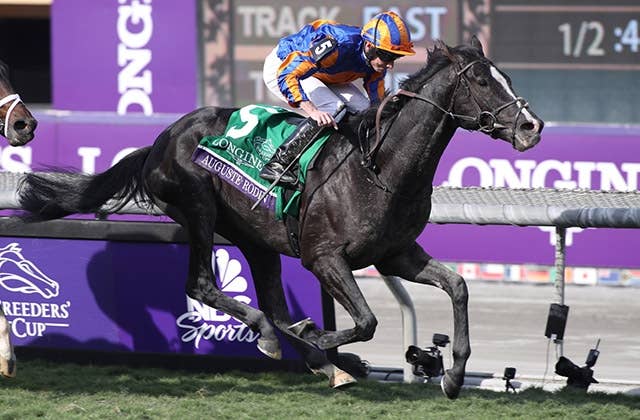 2024ドバイシーマクラシック | JRA-VAN World - 海外競馬情報サイト