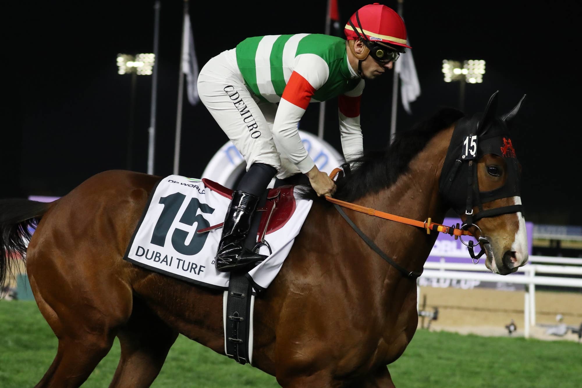 ナミュール（Namur） | 競馬データベース | JRA-VAN World