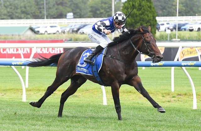 ブレイブスマッシュ産駒ブレイブミード、調教中の事故で安楽死に | JRA