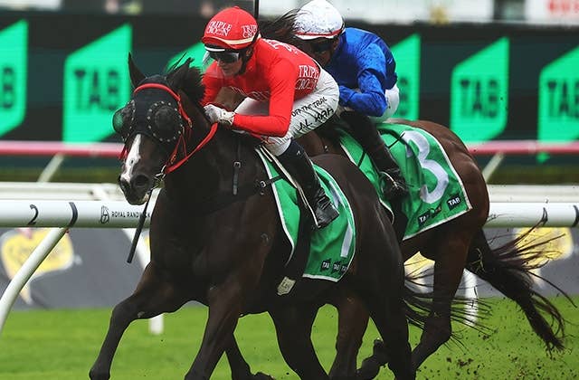 モーリス産駒マズ、豪G3ホールマークSで約2年ぶり白星 | JRA-VAN
