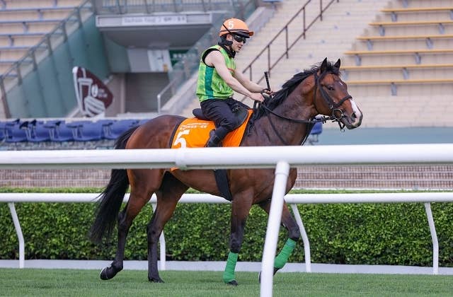JRAポスター マッドクール マッドクール（Mad Cool） | 競馬データベース | JRA-VAN World