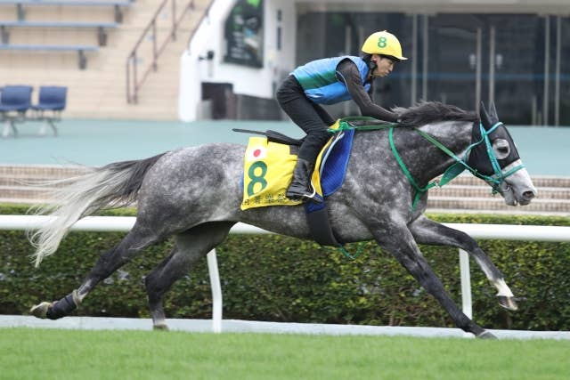 JRAポスター マッドクール マッドクール（Mad Cool） | 競馬データベース | JRA-VAN World