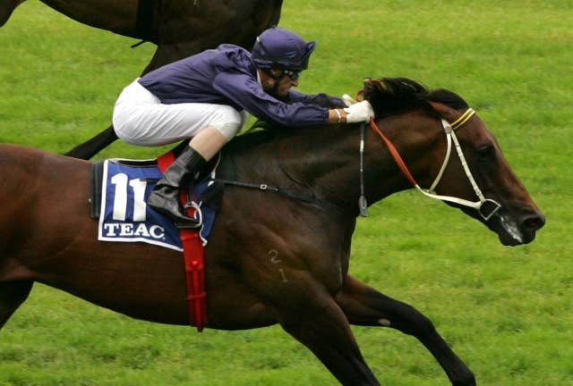名種牡馬ファストネットロックが引退、世界各国でG1馬を輩出 | JRA-VAN