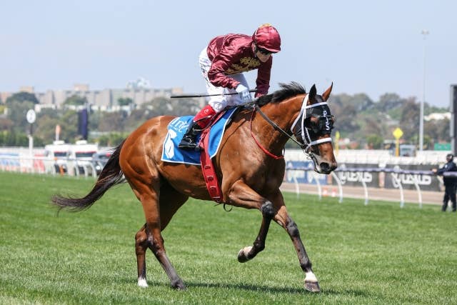 豪G1ロバートサングスターS、クライミングスターが巧みな立ち回りで制す JRAVAN World 海外競馬情報サイト