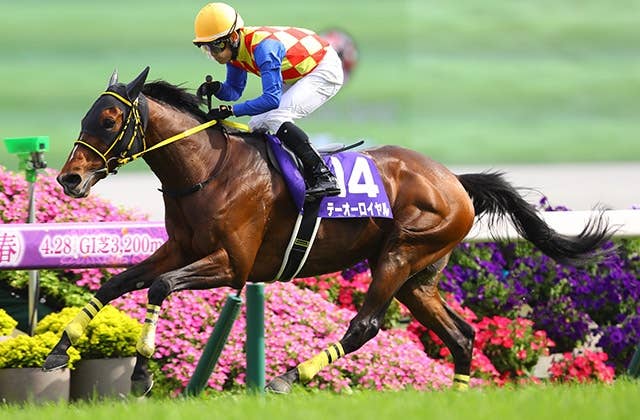 天皇賞（春）制覇のテーオーロイヤル、メルボルンC遠征も | JRA-VAN